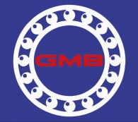 avatar-gbm