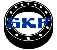 avatar-skf